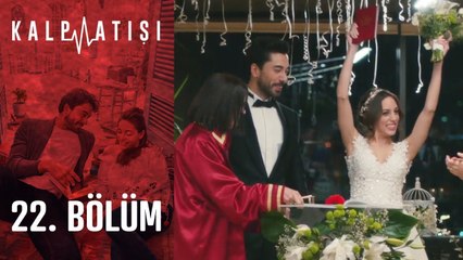 Kalp Atışı 22. Bölüm: Ali Asaf ve Eylül'ün Evlilik Yolculuğu 🚀