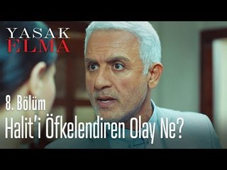Halit'i öfkelendiren olay ne? - Yasak Elma 8. Bölüm