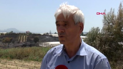 Antalya Antalya'daki Orman Yangınında Hasar Tespit Çalışmaları Başladı Hd