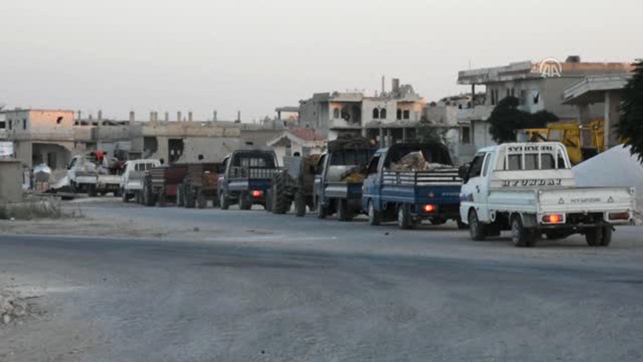 Suriye'de 7 Yıl Sonra İlk Fıstık Hasadı (2)
