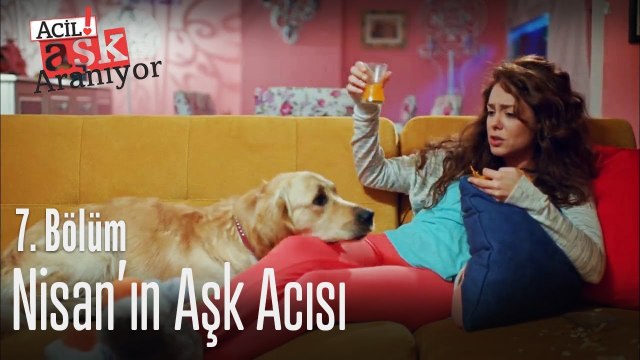 Nisan'ın aşk acısı - Acil Aşk Aranıyor 7. Bölüm