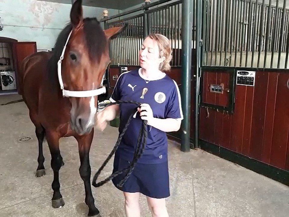 Le cheval d'Antoine Griezmann est en pension à Villemoirieu