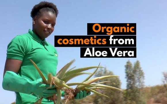 Senegal: Organic cosmetics from Aloe Vera