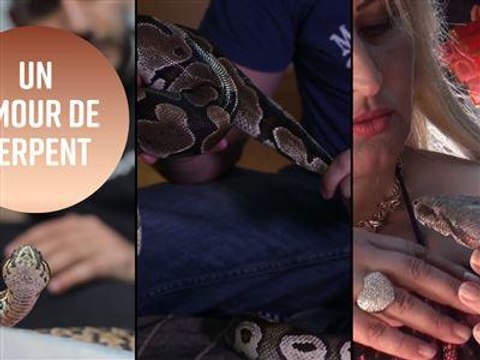 Pour l'amour des serpents