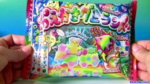 Popin Cookin DIY candy kit Maker # 6 Animals Gummy Land グミランド Oekaki by Kracie グミキャンディーキ