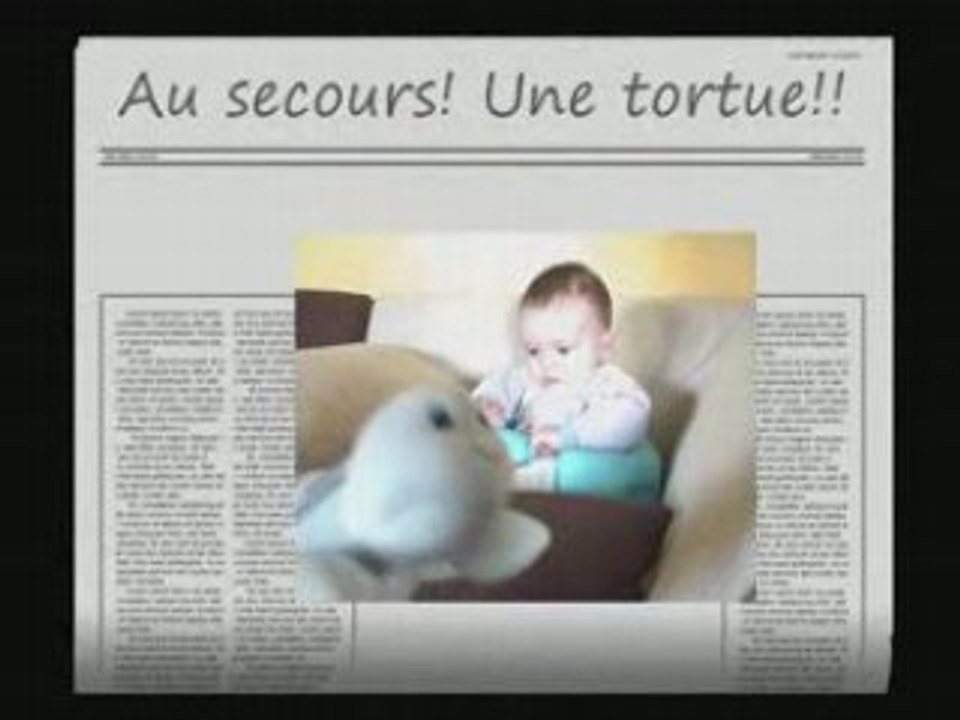 Au secours! une tortue!! 8-12-2007
