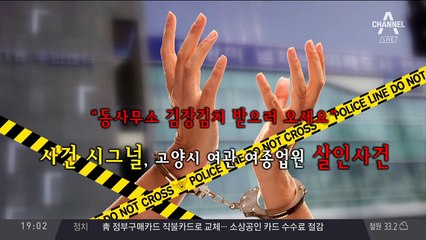 김치 미끼를 물어분 것이여