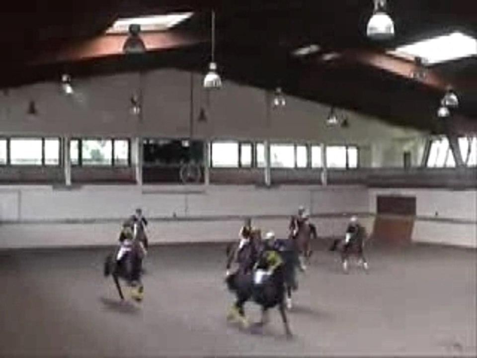 Horse-ball SHA Team La Rochelle • Saison 2006/2007