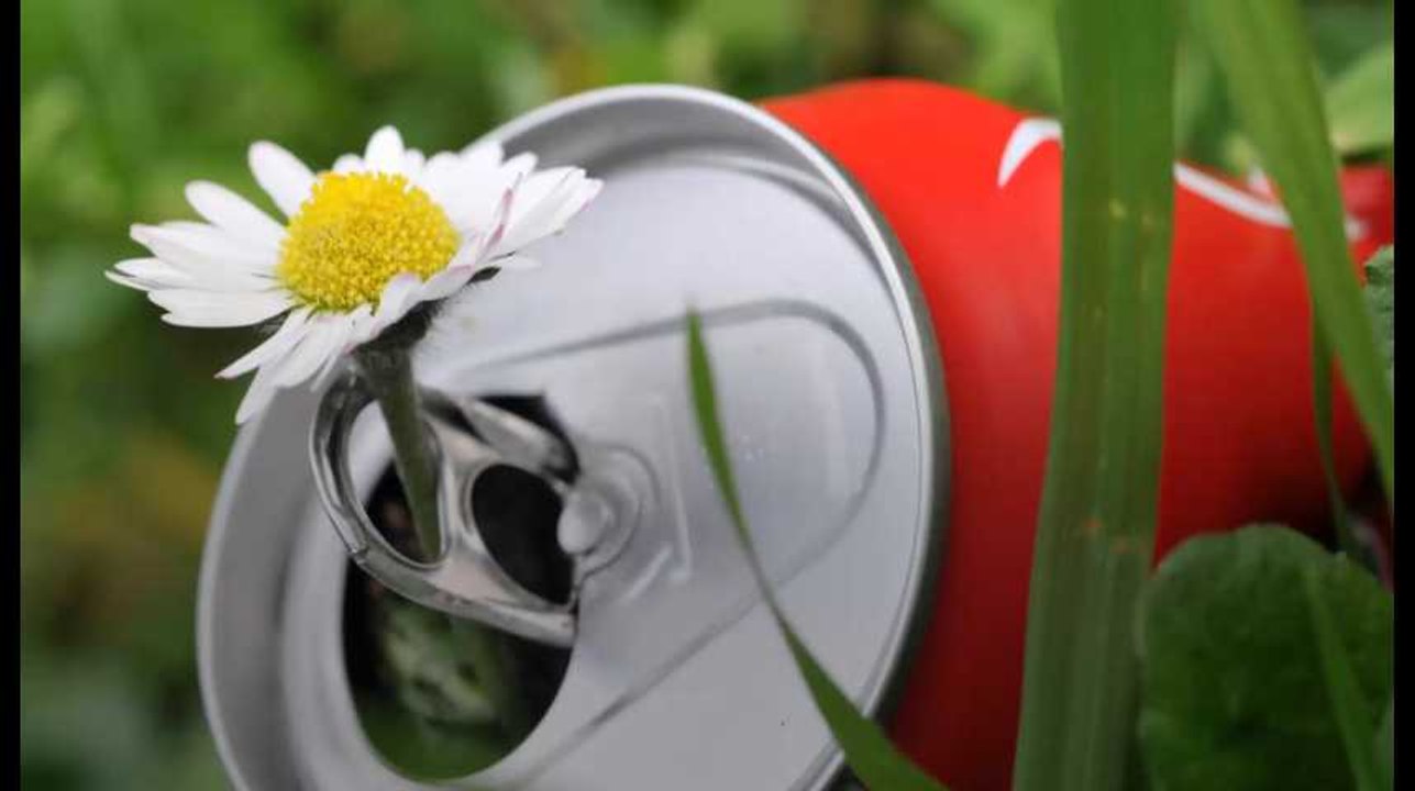 Wallonie : 24 communes pour le projet-pilote de reprise des canettes