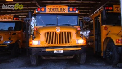 5 Back to School Tips to Make the Transition Easier