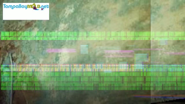 Crawl Space Mold Removal In Clearwater FL 727-877-1011 TampaBayMold.net