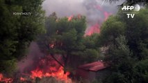 Incendios voraces en Grecia dejan 50 muertos