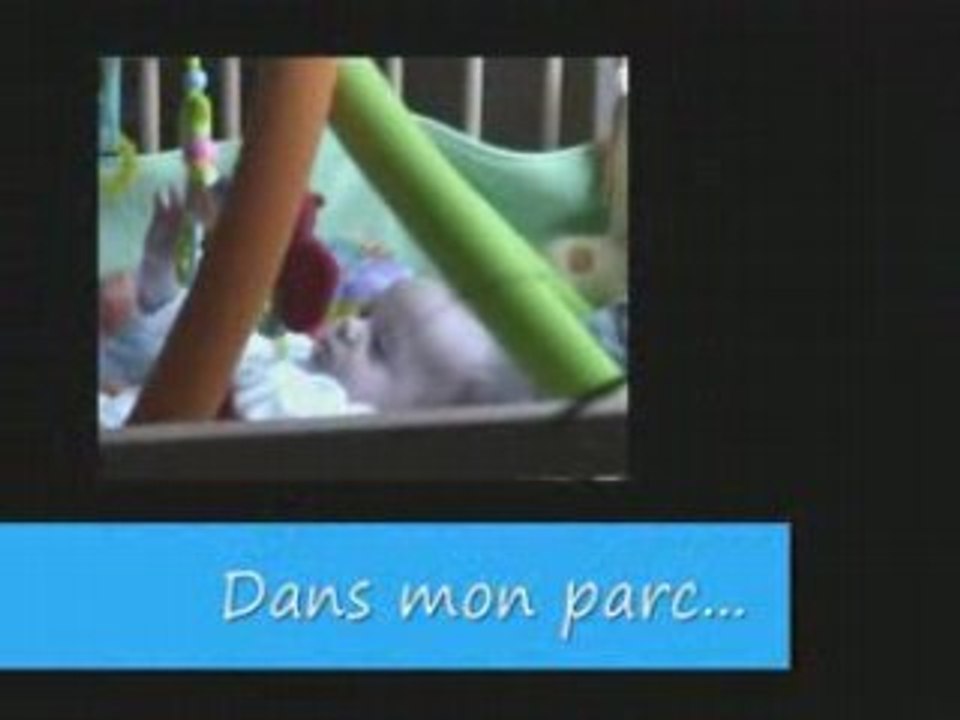 Dans mon parc 5-12-2007