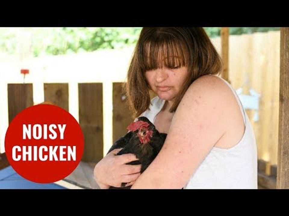 Woman's noisy pet chicken has ruffled people's feathers