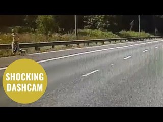 Man takes dog for a walk down hard shoulder