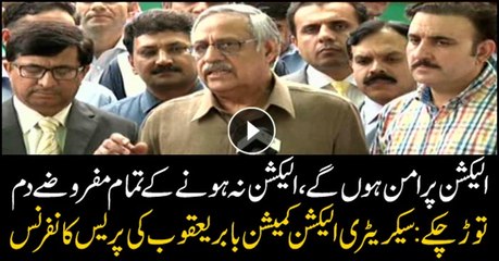 Peaceful elections will be held in country tomorrow, says Babar Yaqub