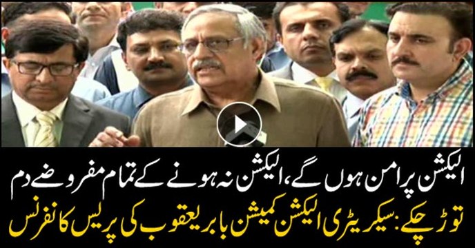 Peaceful elections will be held in country tomorrow, says Babar Yaqub
