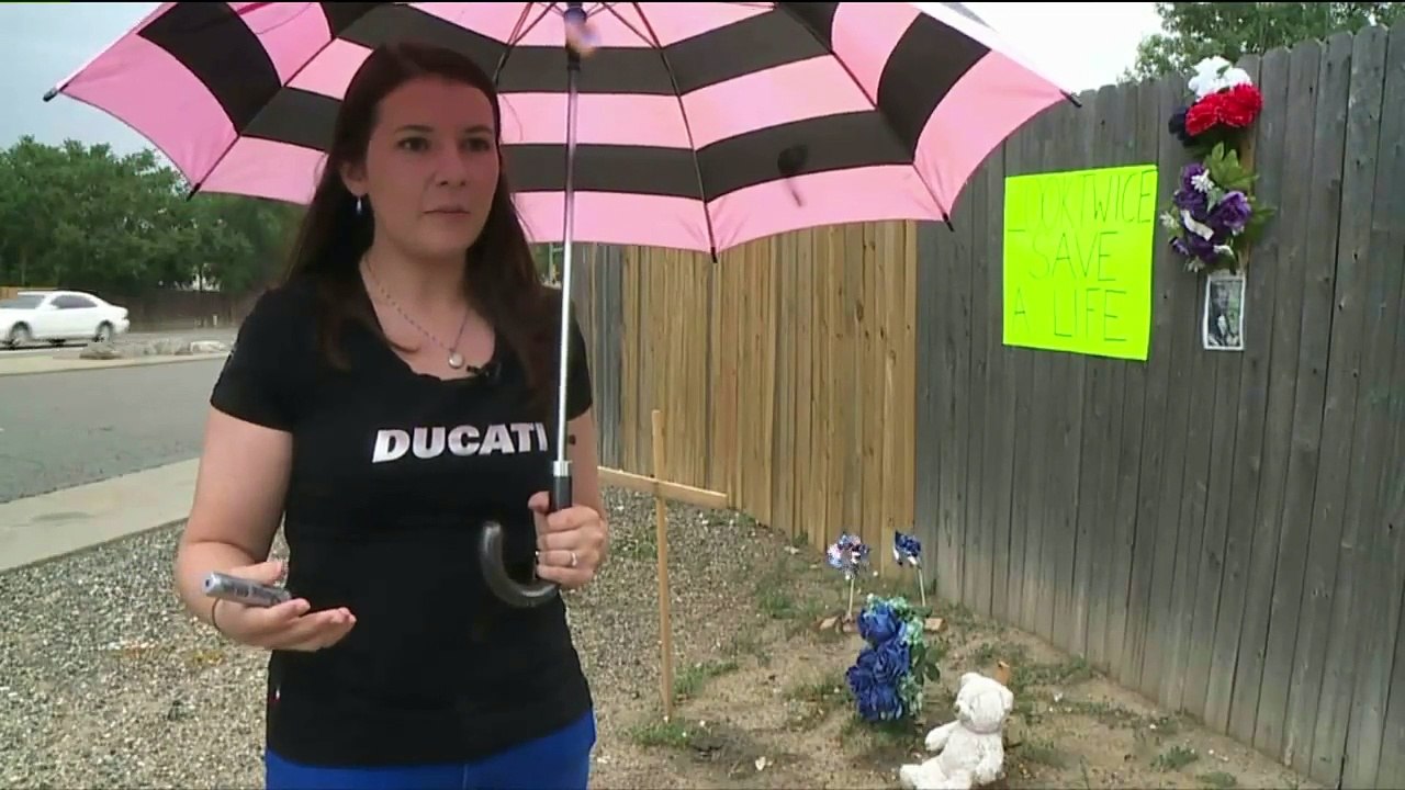 Video Shows People Stealing from Crash Victim's Roadside Memorial