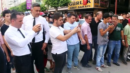 Limandan kaçan angus şehir merkezine girdi - HATAY