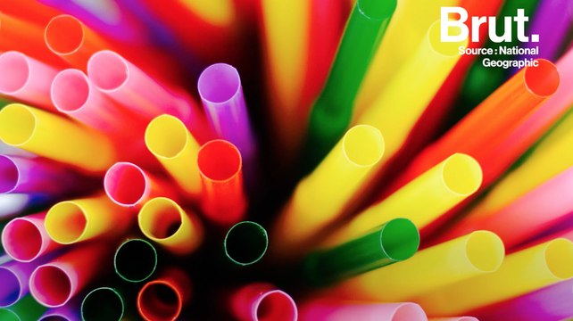 Les pailles en plastique sont un fléau pour l'environnement