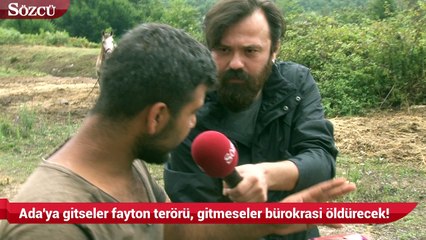 Ada'ya gitseler fayton terörü, gitmeseler bürokrasi öldürecek!