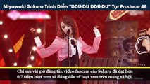 Fancam Miyawaki Sakura trình diễn 'DDU-DU DDU-DU' của Black Pink gây tranh cãi tại Produce 48