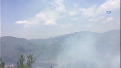 Kızılçam Ormanındaki Yangın Kontrol Altına Alındı