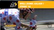 Well done Julian ! / Du grand Julian Alaphilippe - Étape 16 / Stage 16 - Tour de France 2018