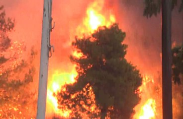Yunanistan'da Ölü Sayısı 74'e Yükseldi