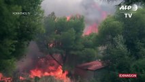 Los voraces incendios en Grecia han dejado al menos 50 personas muertas