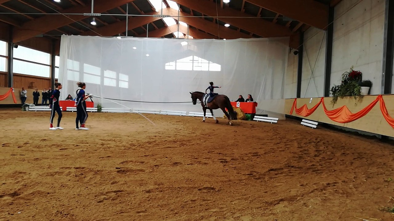 SGM III Pfllicht Turnier Weicht 22.07.18