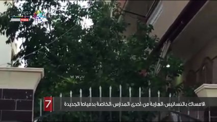 تمكن فريق إنقاذ الحيوانات بقيادة سوزان غنيم من الامساك بالنسانيس الهاربة من إحدى المدارس الخاصة بمدينة دمياط الجديدة.