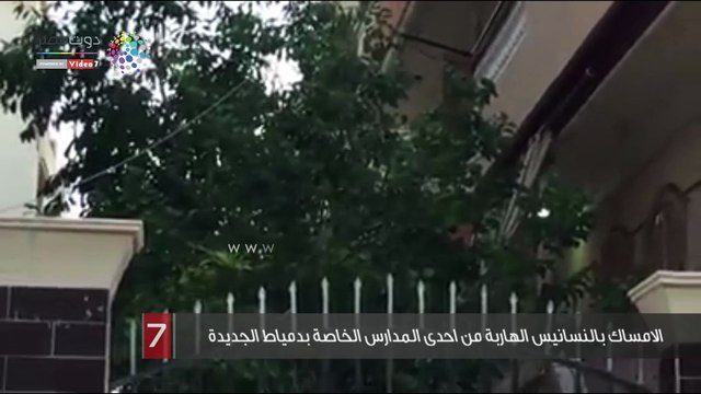 تمكن فريق إنقاذ الحيوانات بقيادة سوزان غنيم من الامساك بالنسانيس الهاربة من إحدى المدارس الخاصة بمدينة دمياط الجديدة.