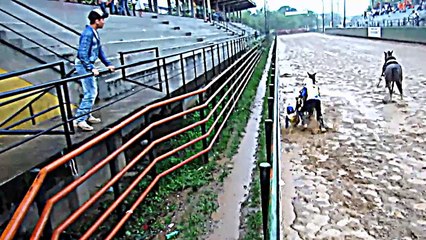 COLEO CATEGORÍA SUB9