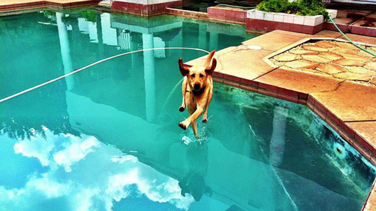 Des plans incroyables filmés dans le temps