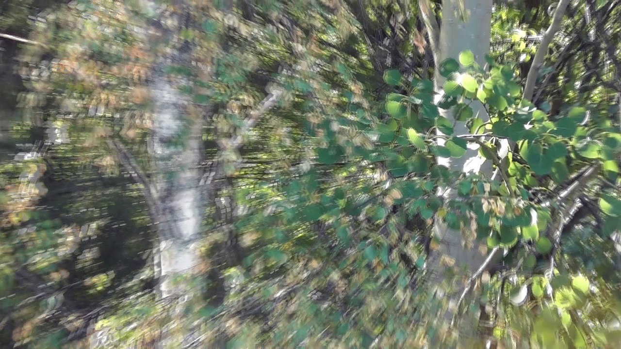 July 24 2018 DL6