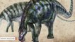 'Amazing Dragon' Fossils Yield Dinosaur Discovery In China