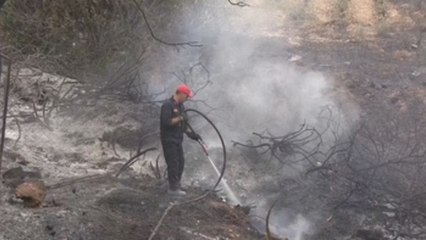 Incendios en la costa de Atenas dejan 74 muertos y una imagen de devastación