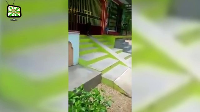 Goats Screaming Funny Goats Screaming Compilation (Part 1) [Epic Laughs]