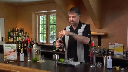 Festa Cocktail - The Cocktail Spirit with Robert Hess - Small Screen