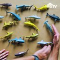 Celebrate Shark Week by turning a toy shark into a playful drawer pull with Crafty Lumberjacks and J.Pickens, courtesy of HGTV. 