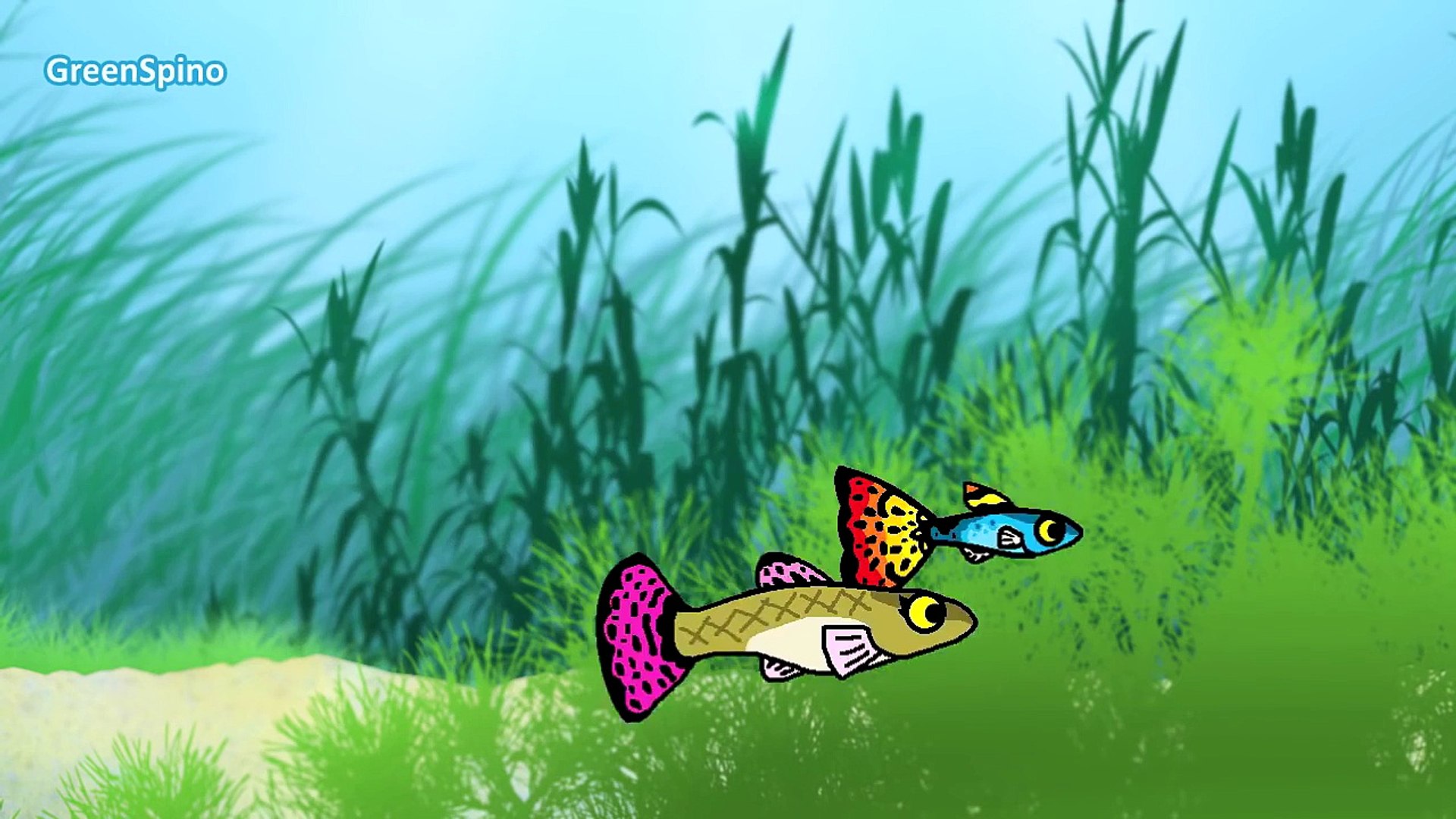 Dinosaurs Cartoons for Children   Cartoons movie for kids - GreenSpino   Fish cartoons for kids