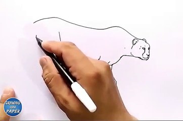 Very Easy!! How to Drawing Cheetah Cartoon for kids - Drawing doodle art