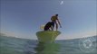 Ce chien plonge pour attraper des homards