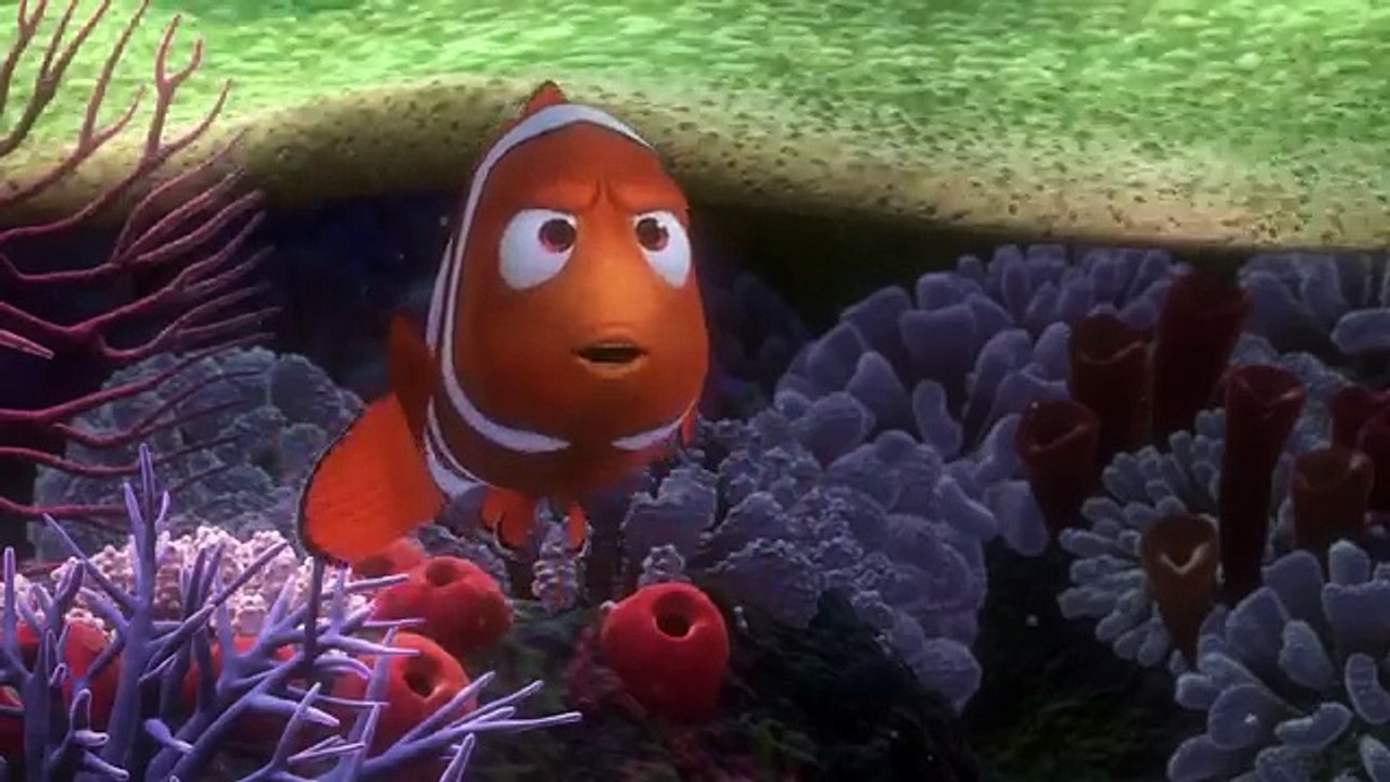 kayıp balık nemo 1