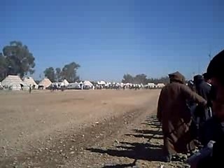 Guercif moussem zitoune 2007 (5)