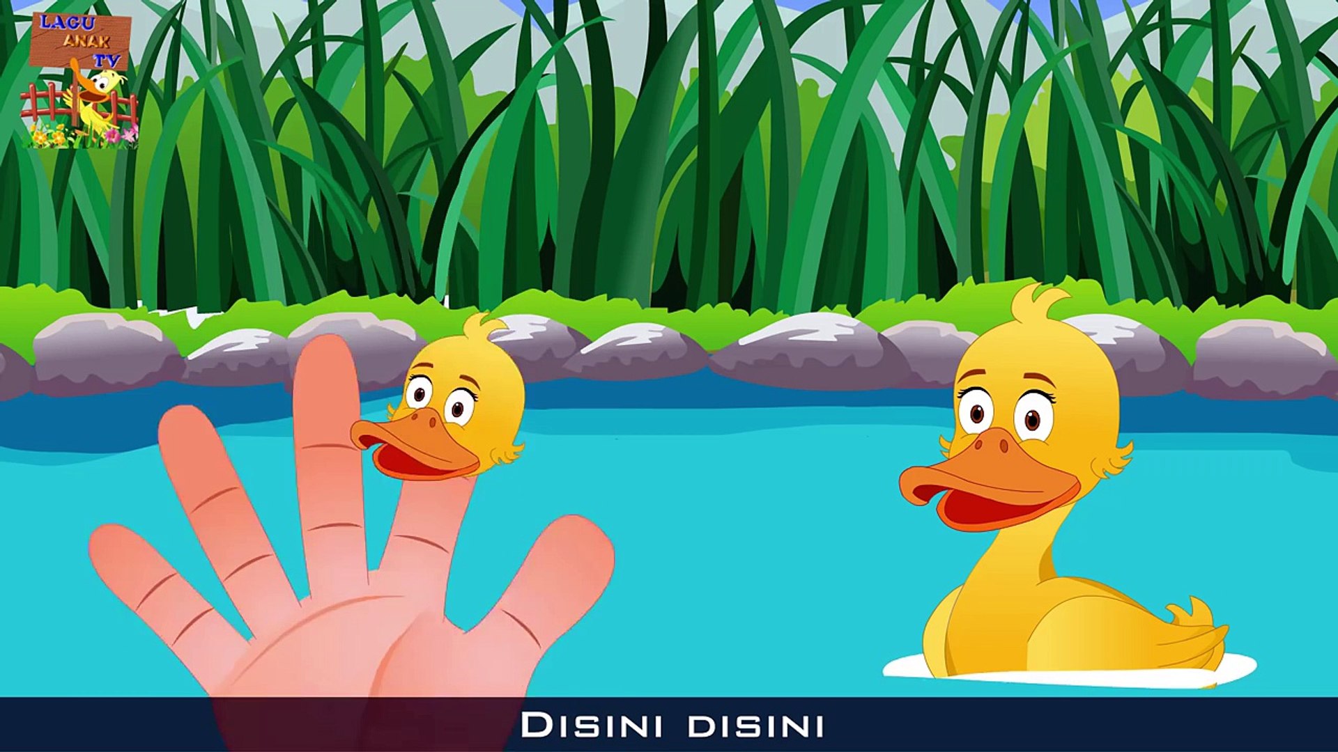 Video anak anak lucu kartun bebek