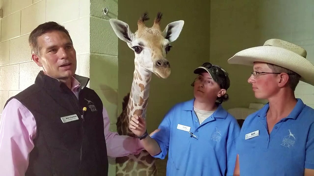 Cheyenne Mountain Zoo - 7-24-18 Penny Update Today