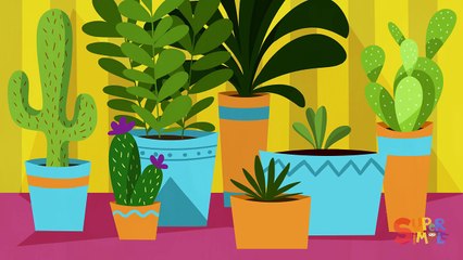 Peek A Boo Song Nursery Rhymes for Kids