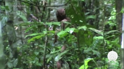 Piden protección para único sobreviviente de tribu brasileña